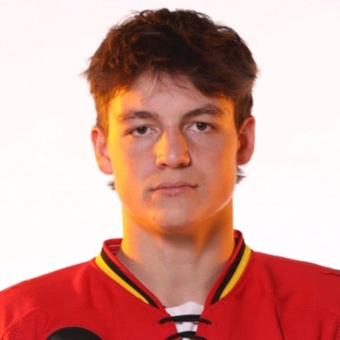 Logan Lussier mugshot