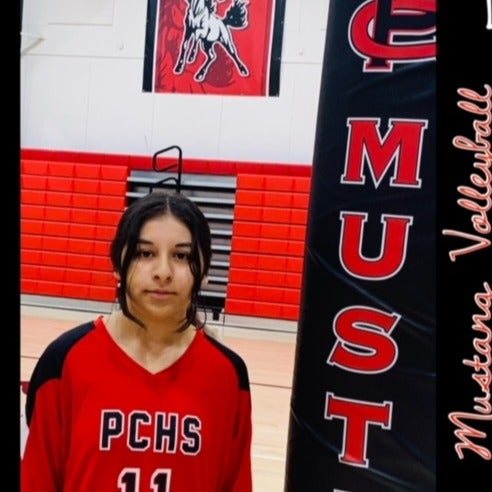 Denaly Hernandez mugshot