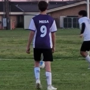 Ace Mesa mugshot