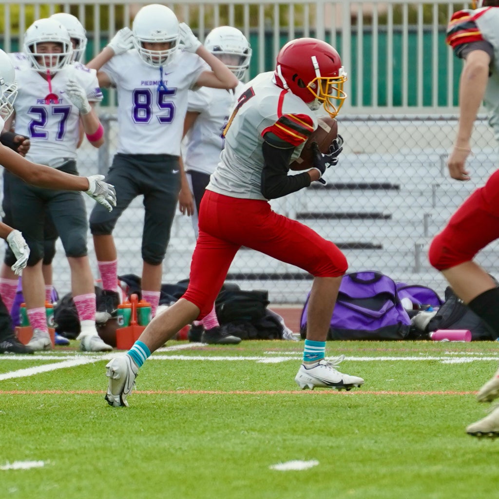 Zander Pastika - Dressner