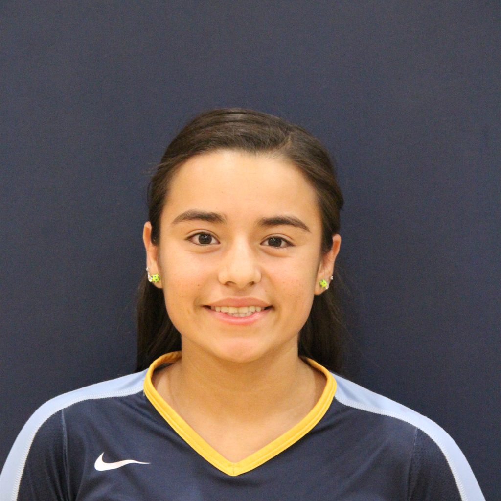 Selestre Guerrero mugshot