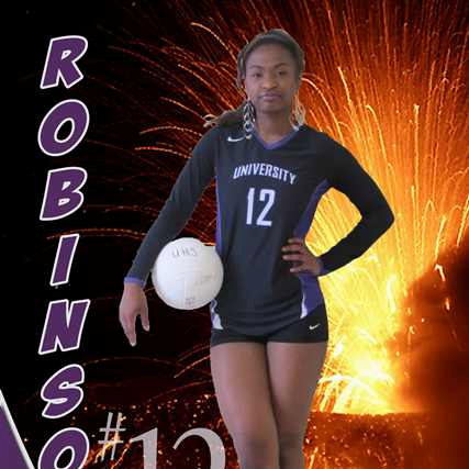 Lanecia Robinson mugshot