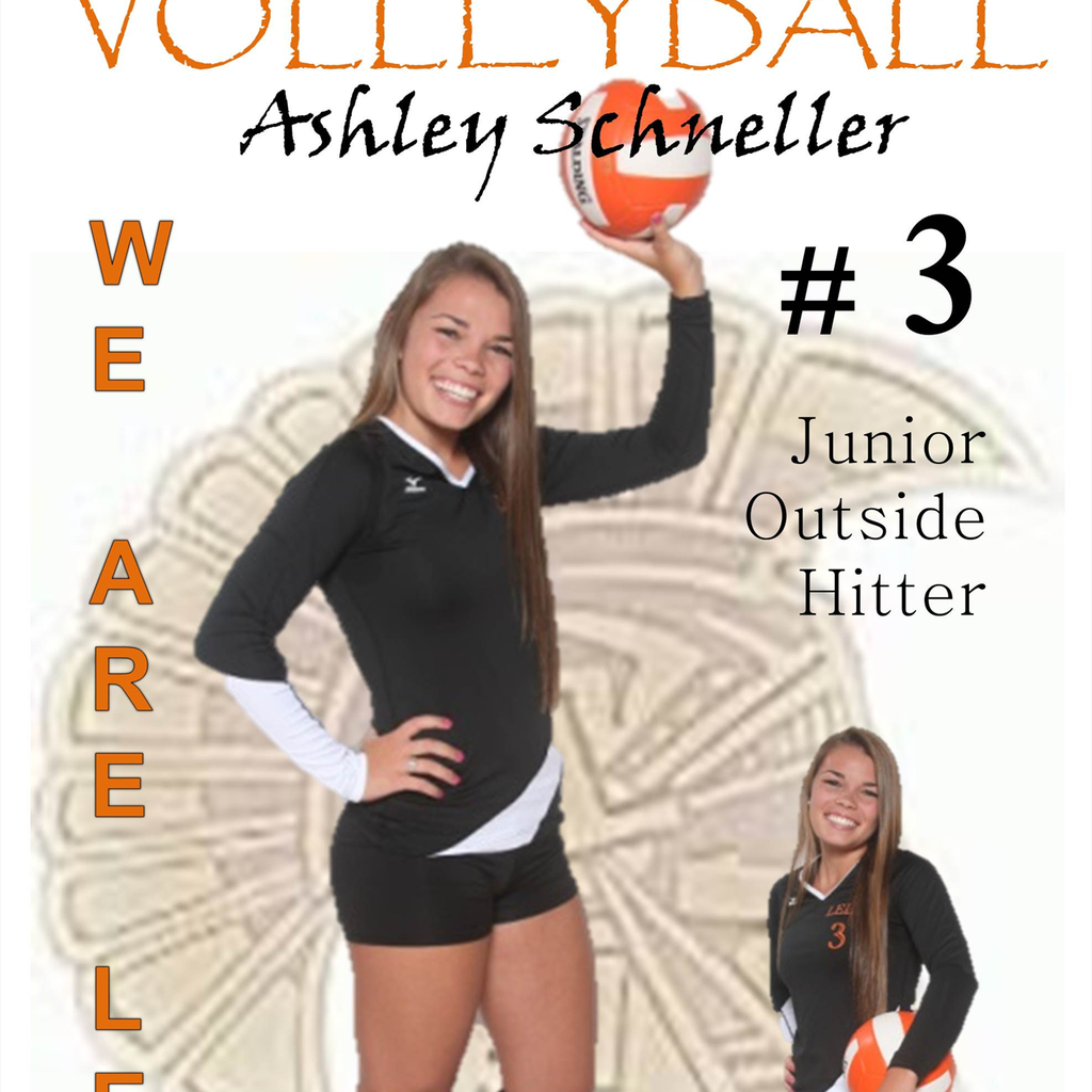 Ashley Schneller mugshot