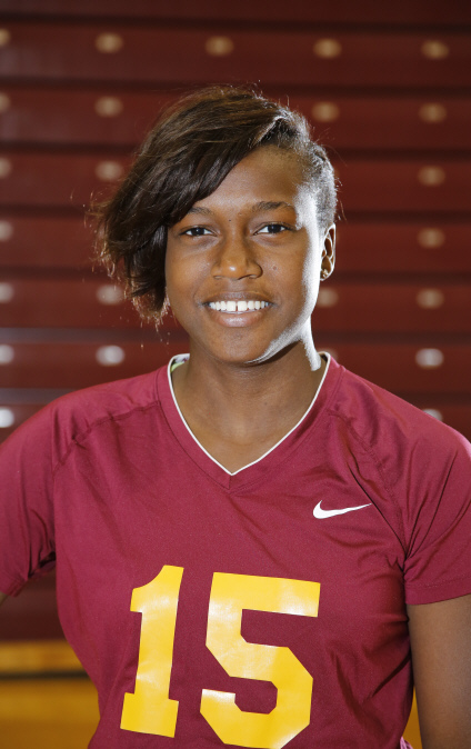 Chrisalyn Johnson mugshot