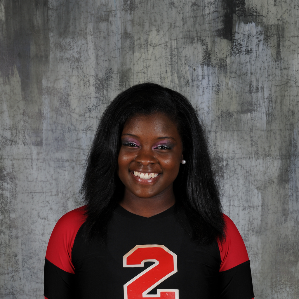 Brittney Terry mugshot