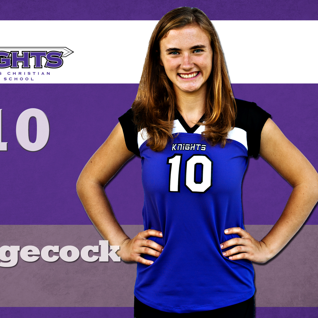 Rosi Hedgecock mugshot