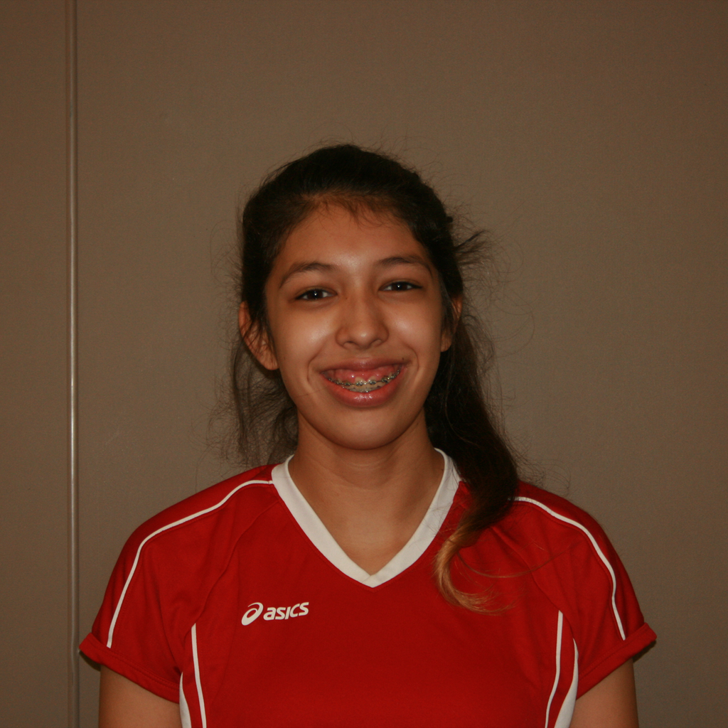 Marisol Ruiz mugshot