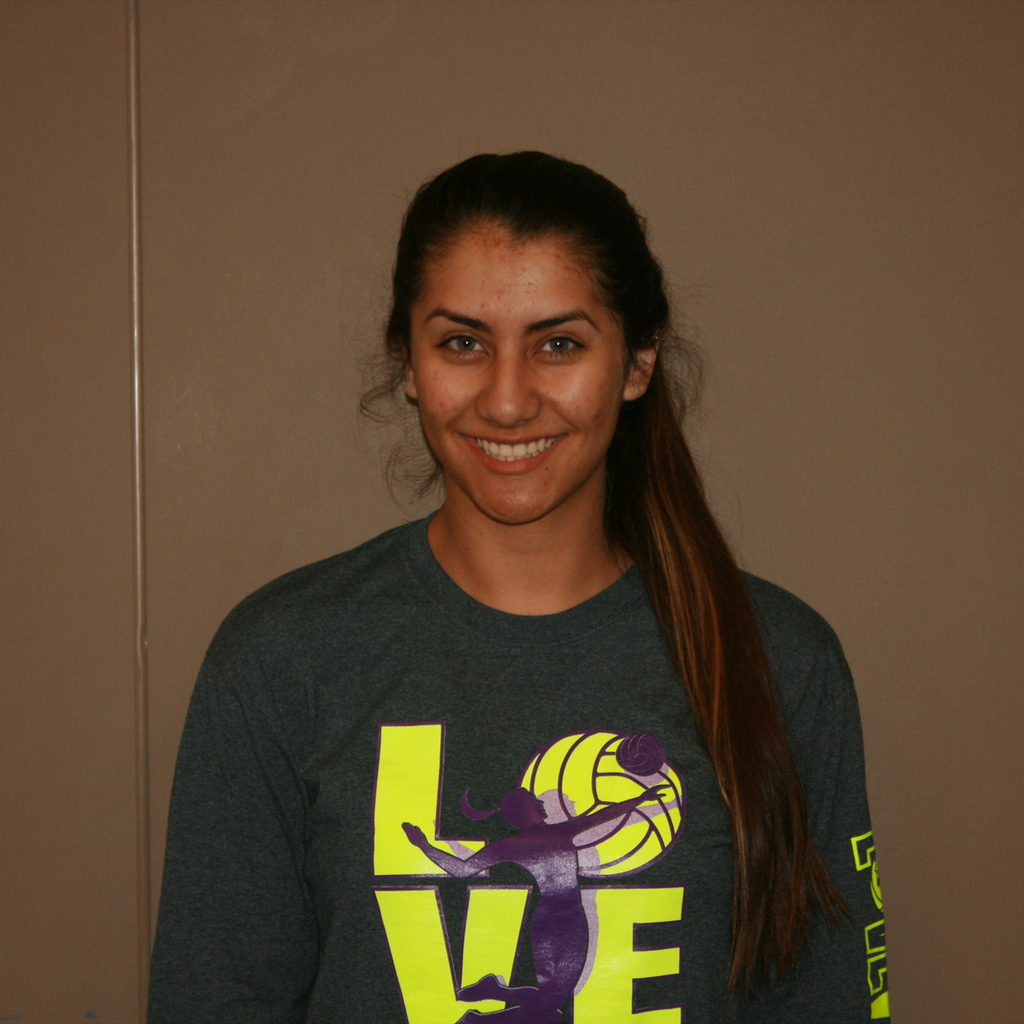 Leslye Salazar mugshot