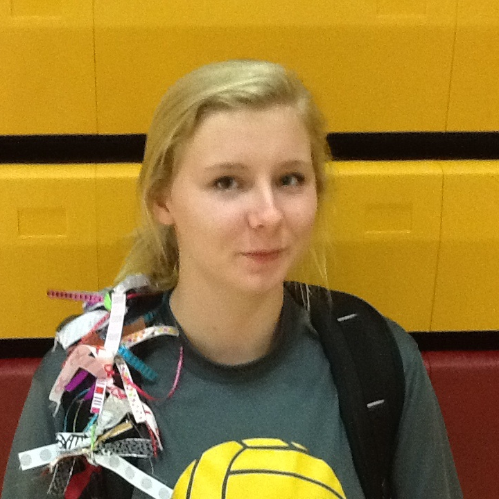 Anna Minske mugshot