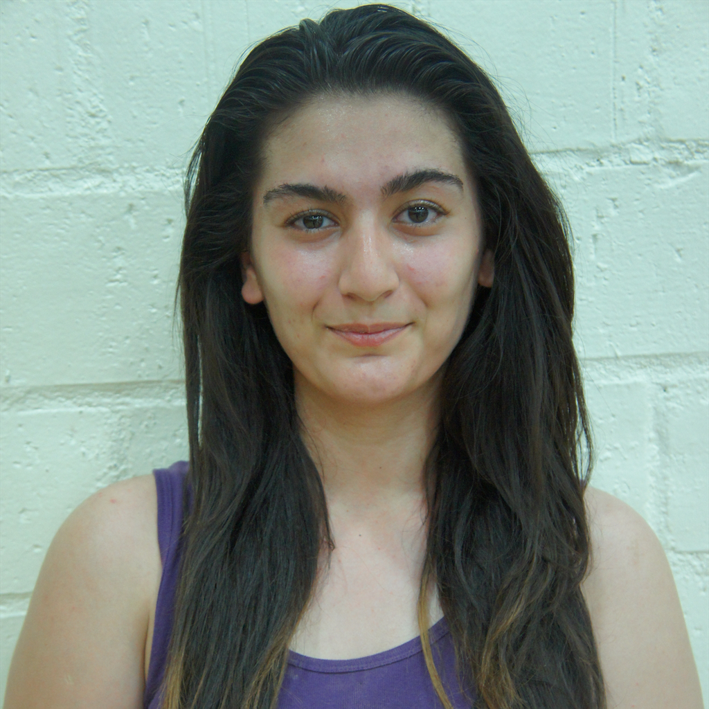 Araz Maleky mugshot