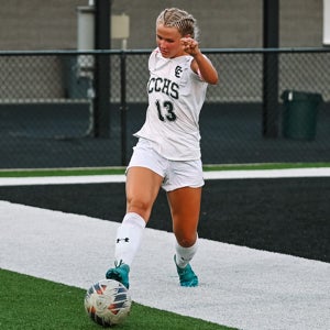 Anna Minarcheck mugshot