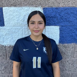 Meline Basambekyan mugshot