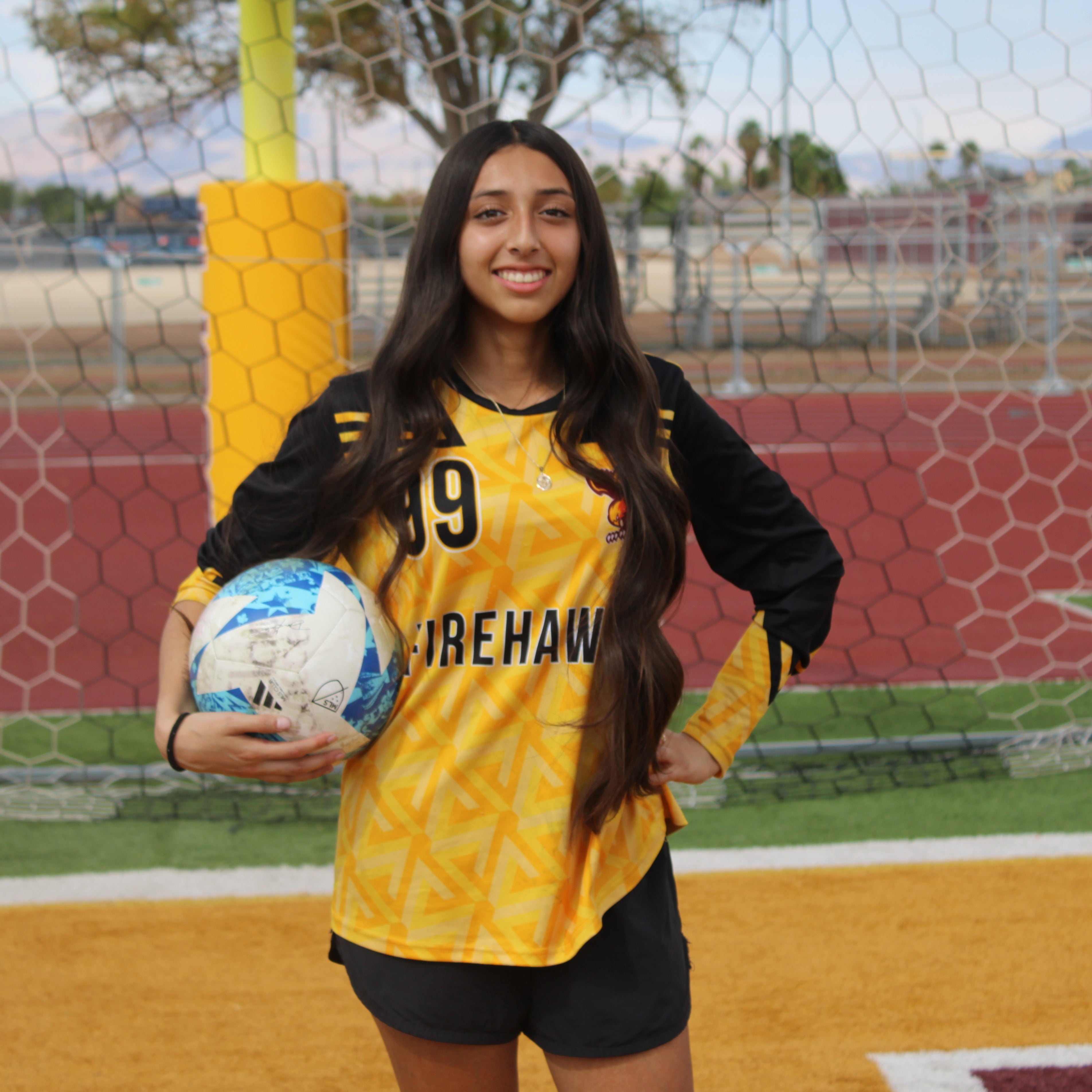 N. Villarreal Medina