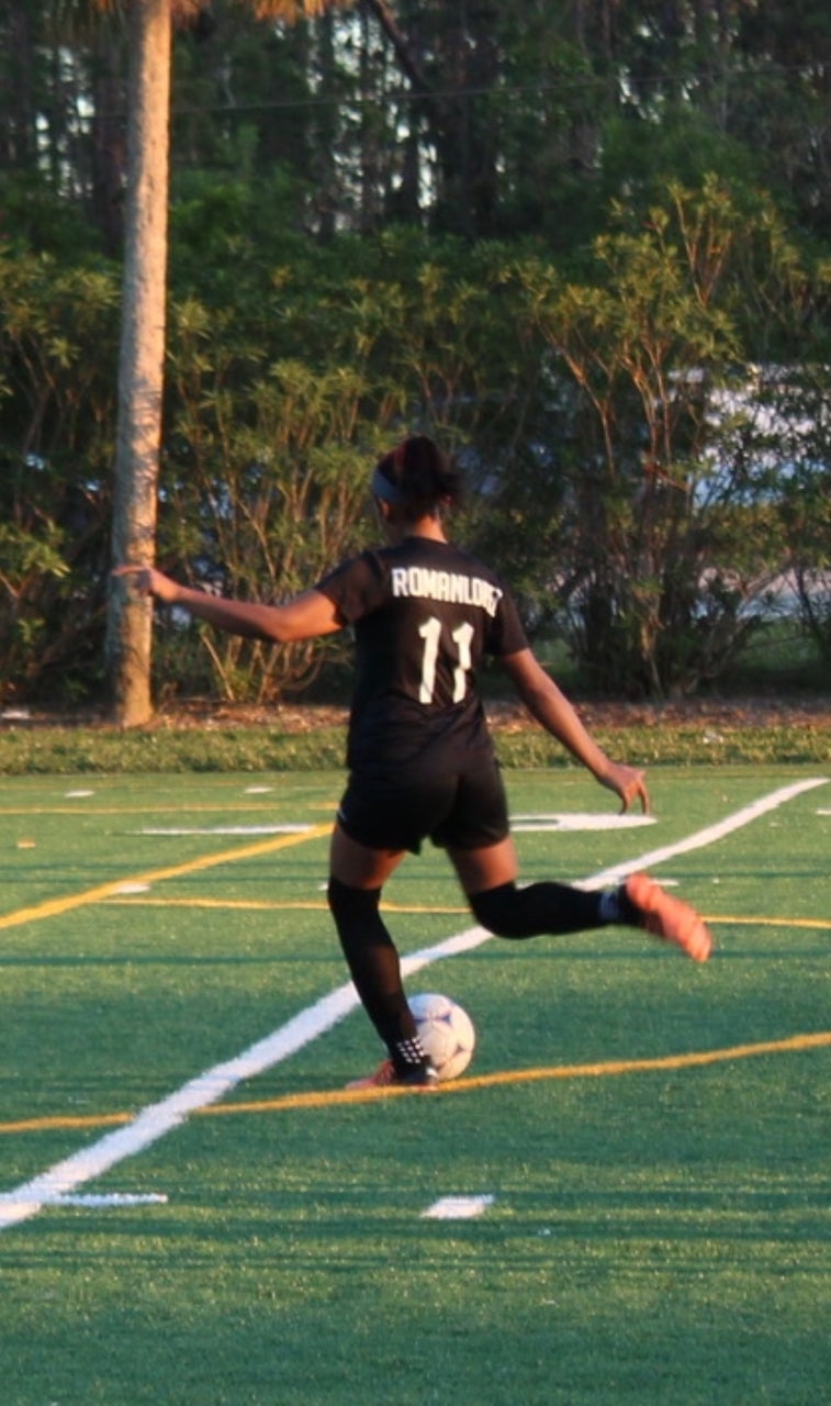 Yaneila Romanlopez mugshot