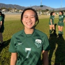 Samantha Wong mugshot