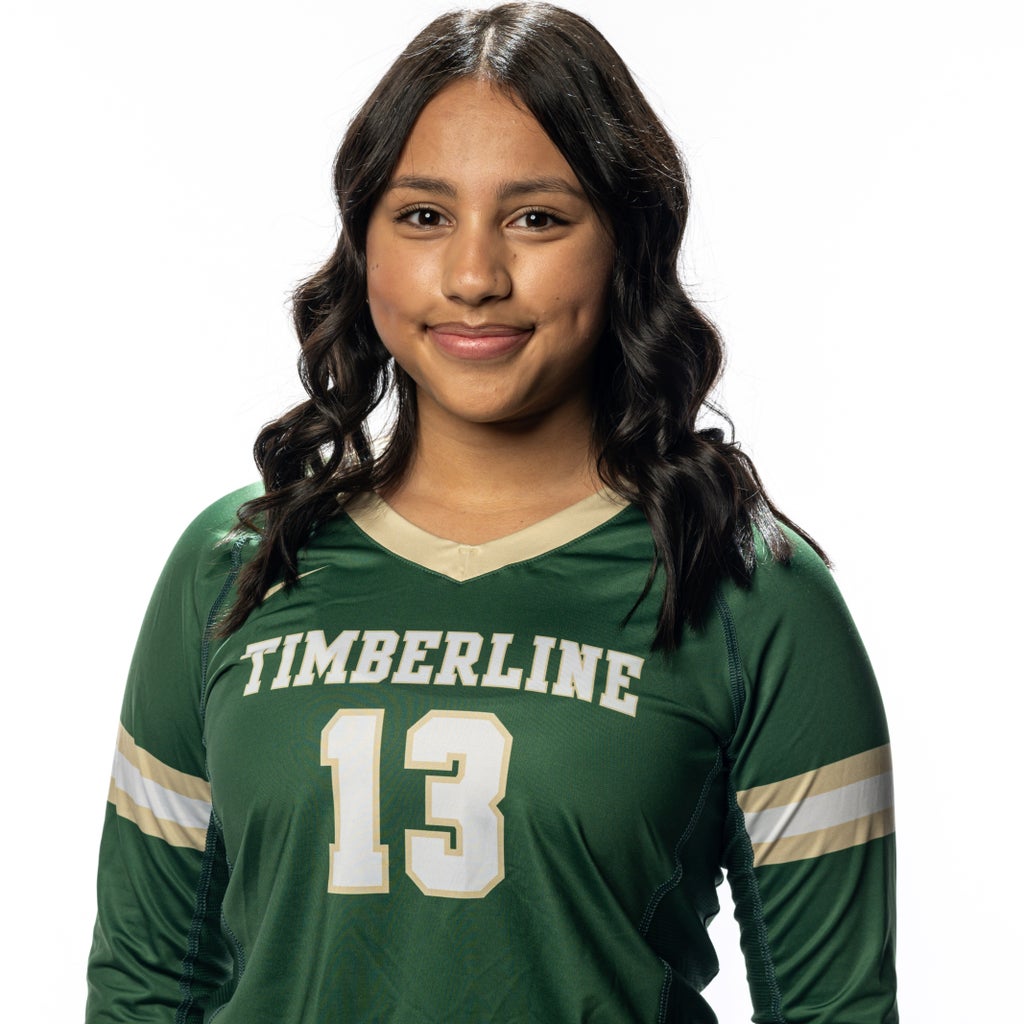 Angela Villa mugshot