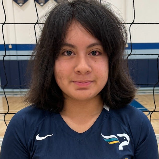 Arianna Mendez mugshot