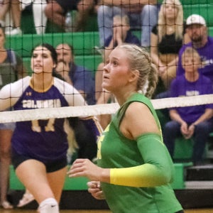 Maci Hingson mugshot