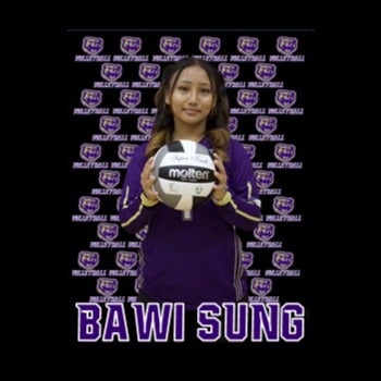 Bawi Sung mugshot