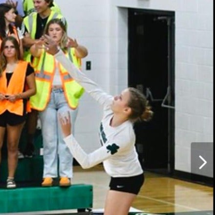 Hadli Gillum mugshot