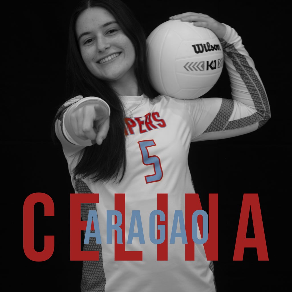 Maria Celina Aragao mugshot