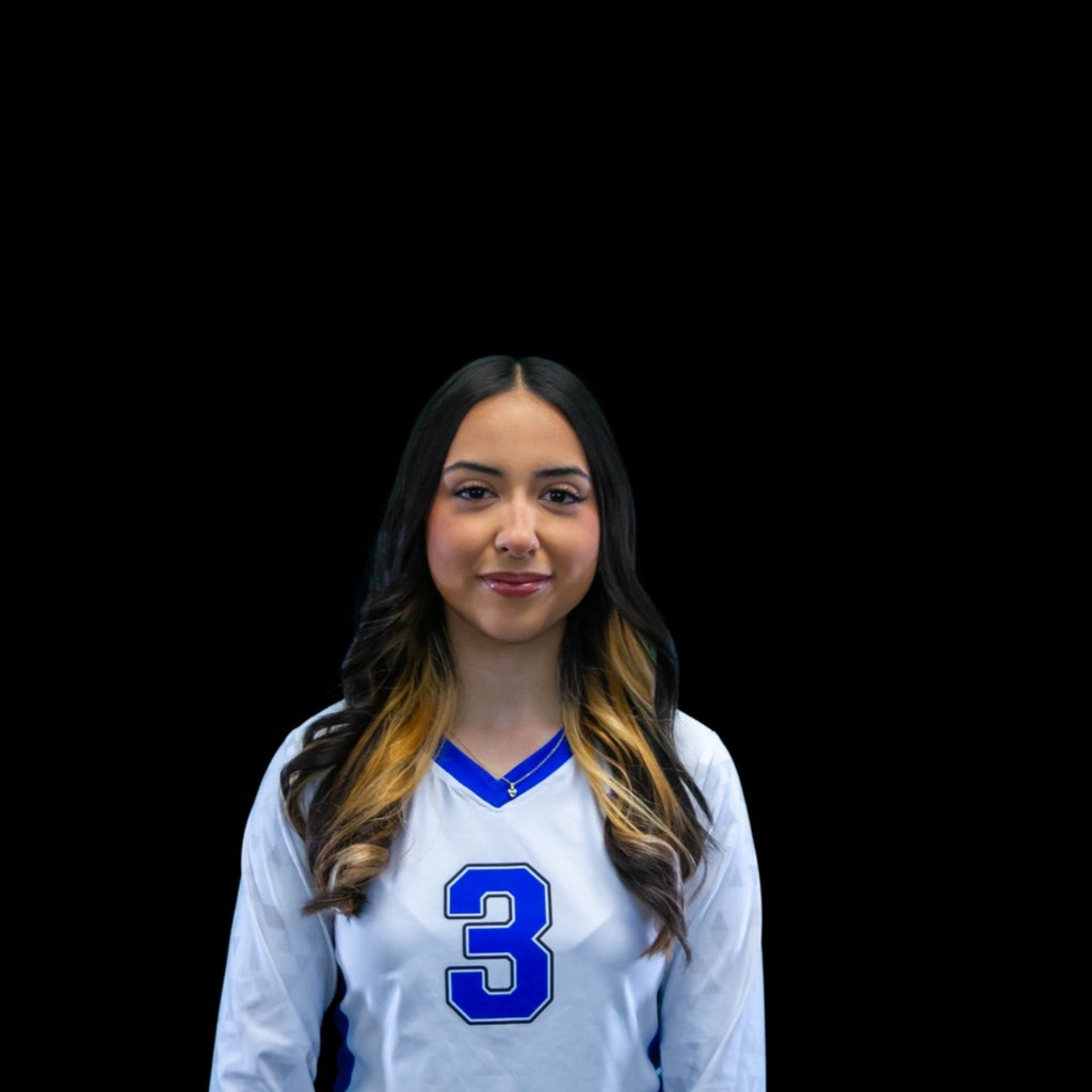 Karina Mendoza mugshot
