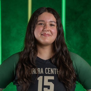 Angelin Estrada mugshot