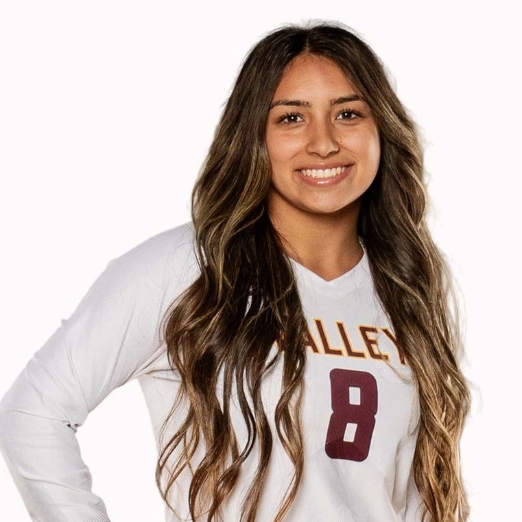 Divyna Ibarra-Villegas mugshot
