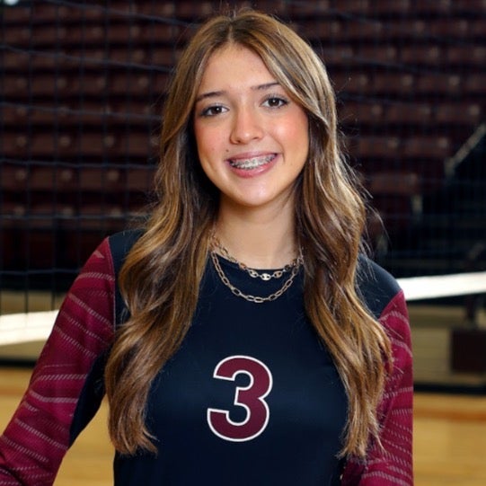 Layni Birkes mugshot