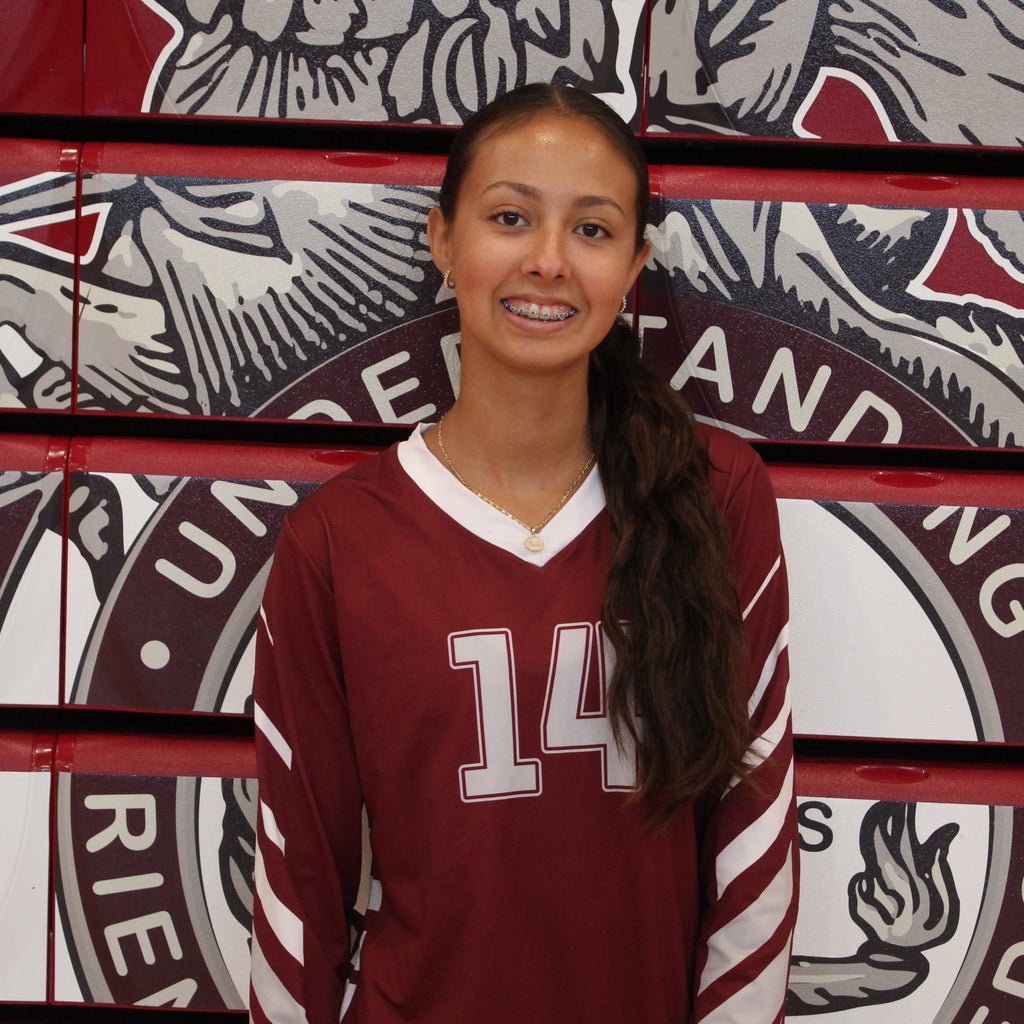 Vanessa Castaneda mugshot