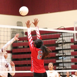 Tyshanna Chee mugshot