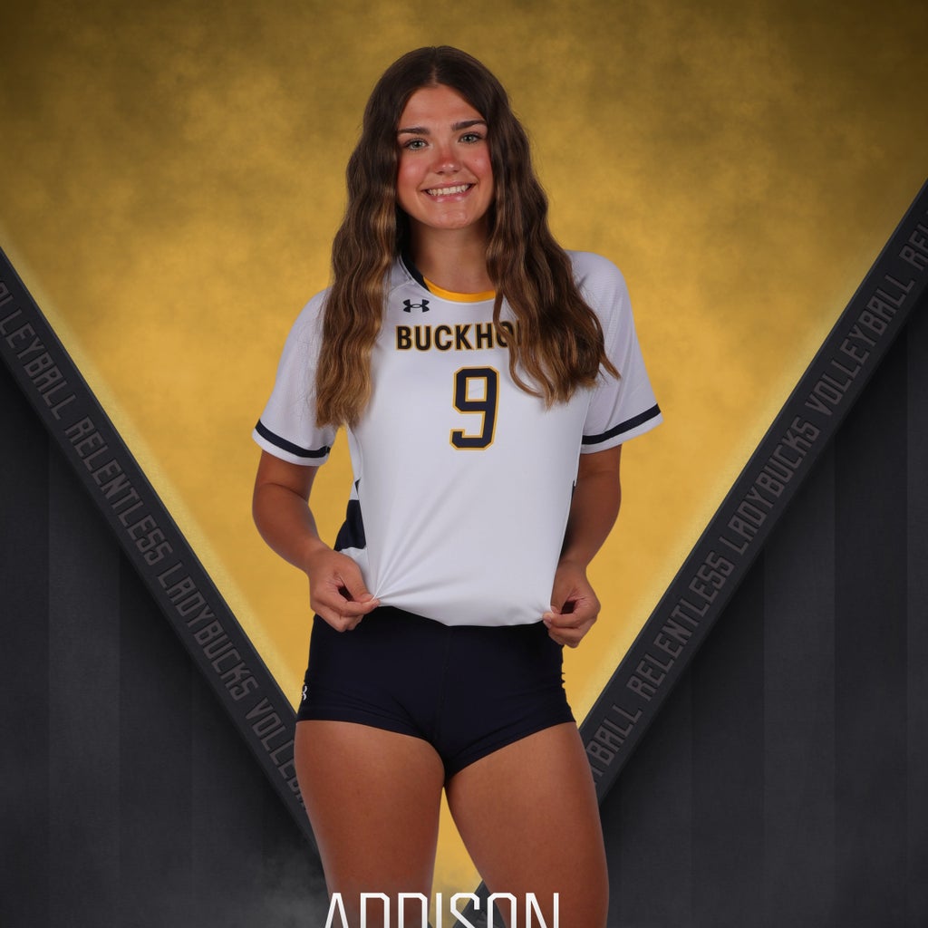 Addison Cholevik mugshot