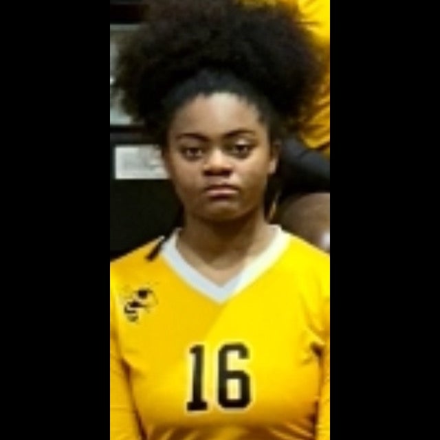 Erynecia Turner mugshot