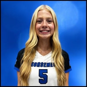 Jane Erickson mugshot