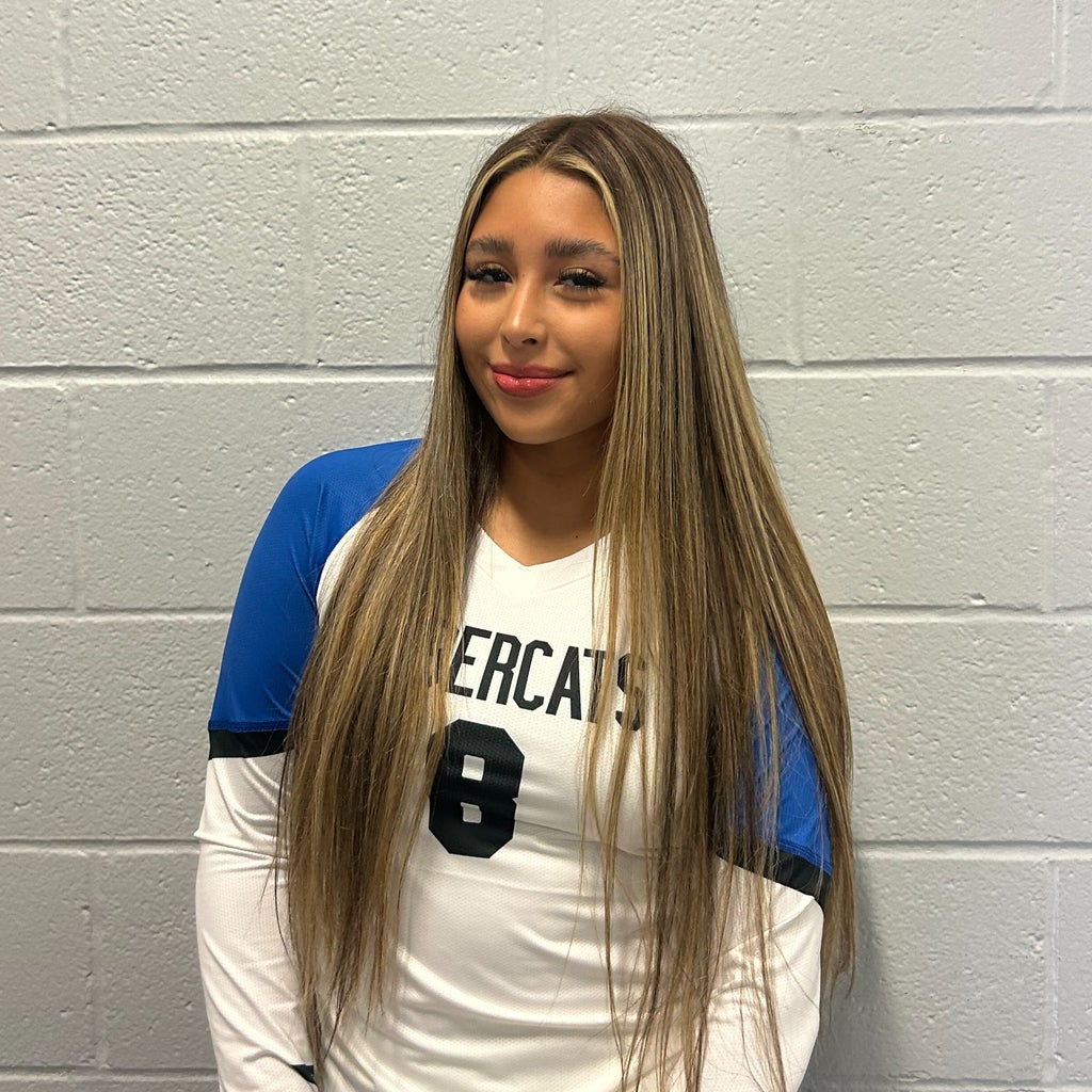 Dayanara Meza mugshot