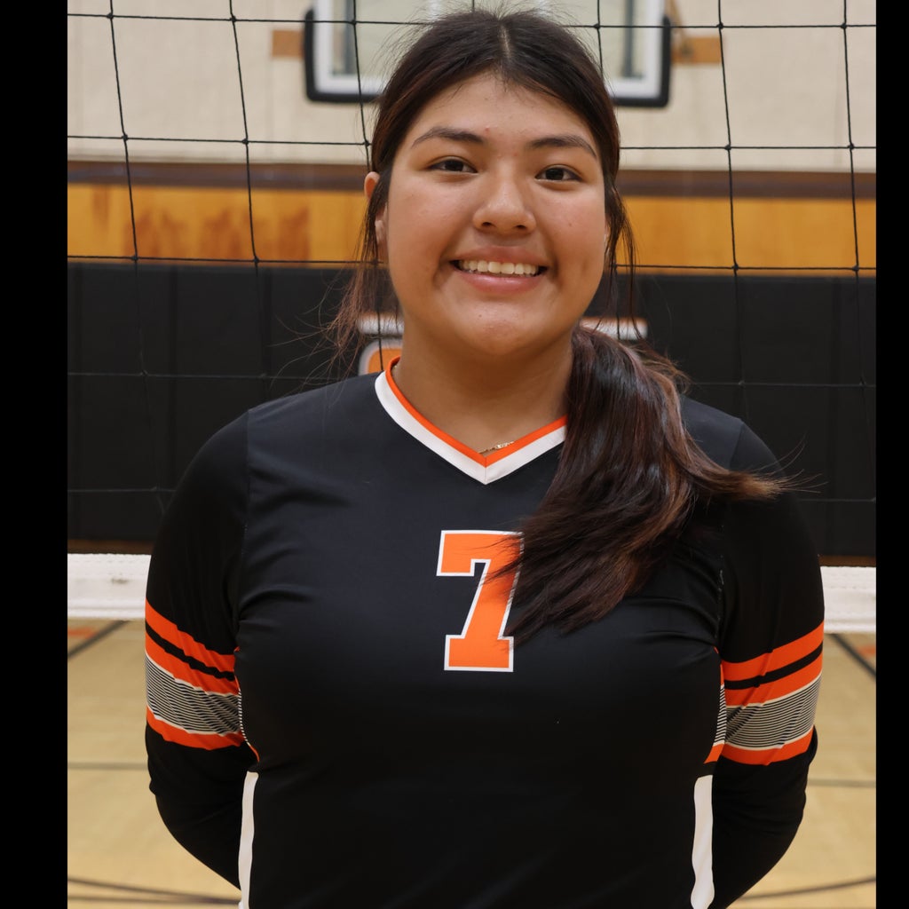 Crisstela Mendoza mugshot