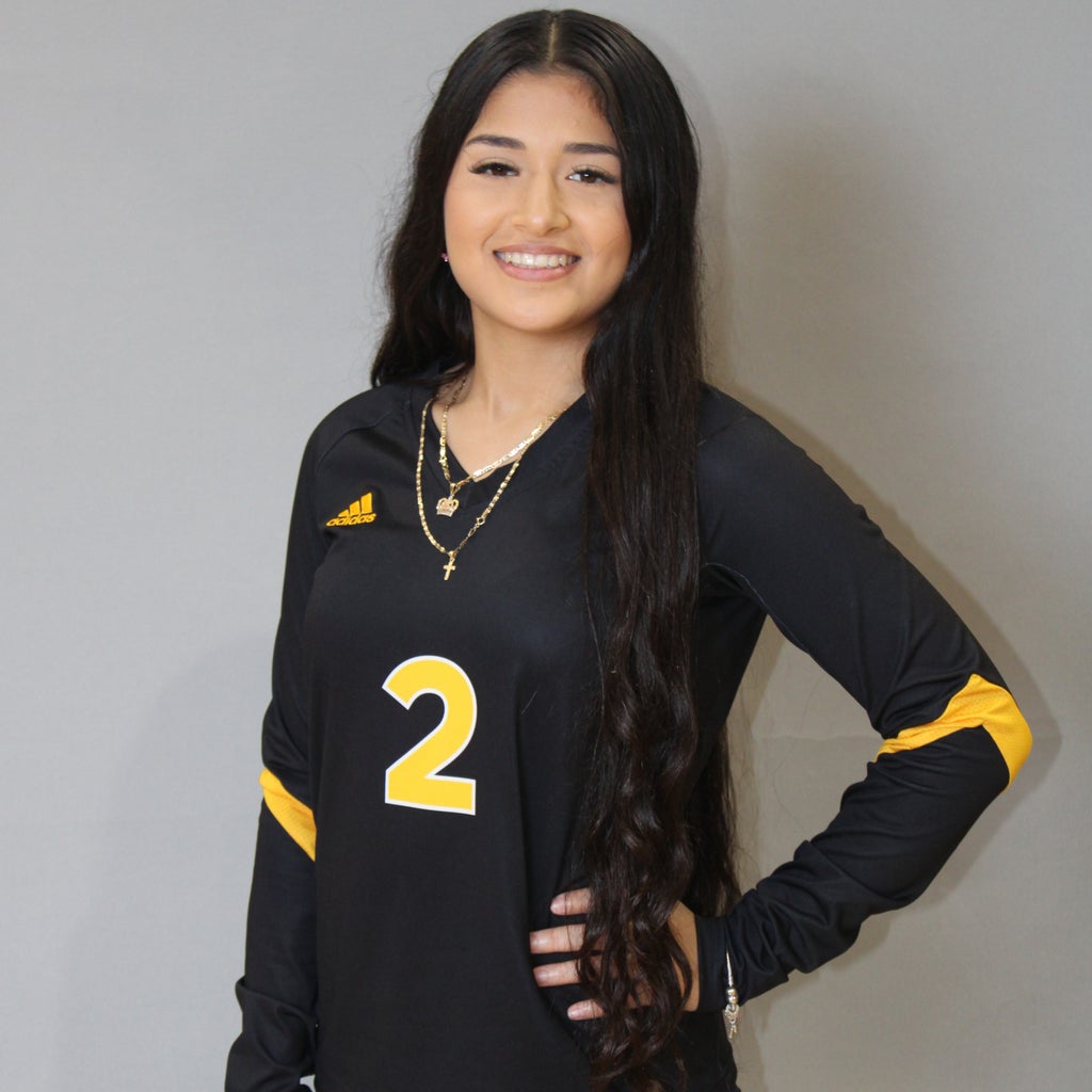 Rose Flores mugshot