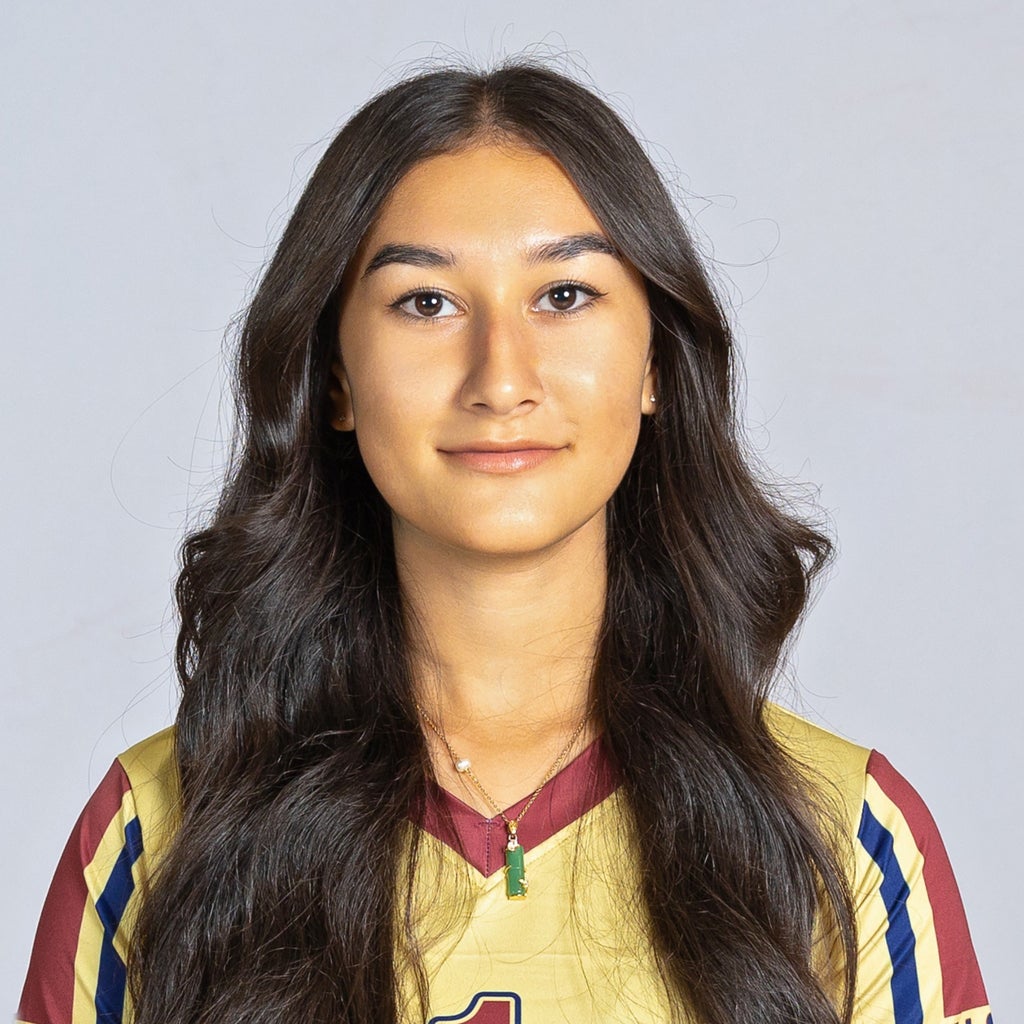 Shalene Erickson mugshot