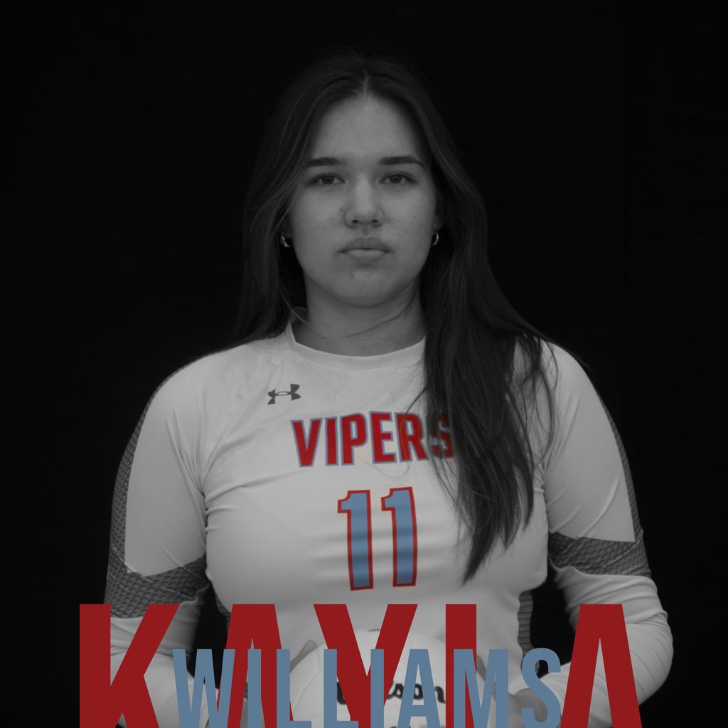 Kayla Williams mugshot