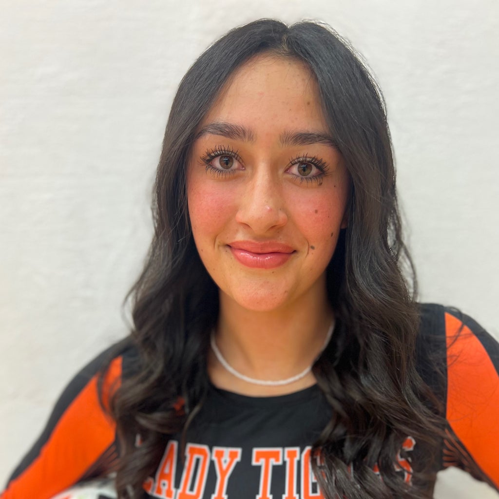 Ciera Castillo mugshot