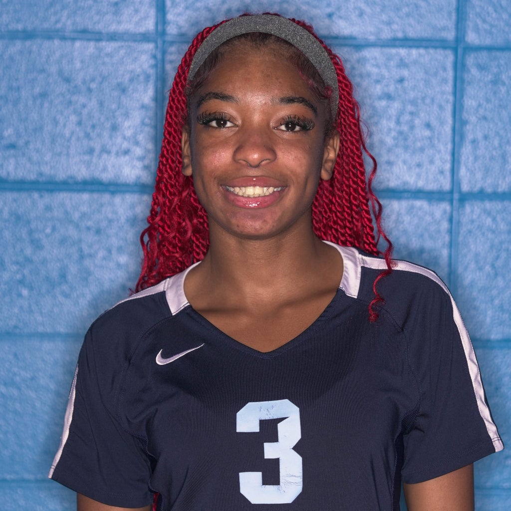 Tiyanna Logan mugshot