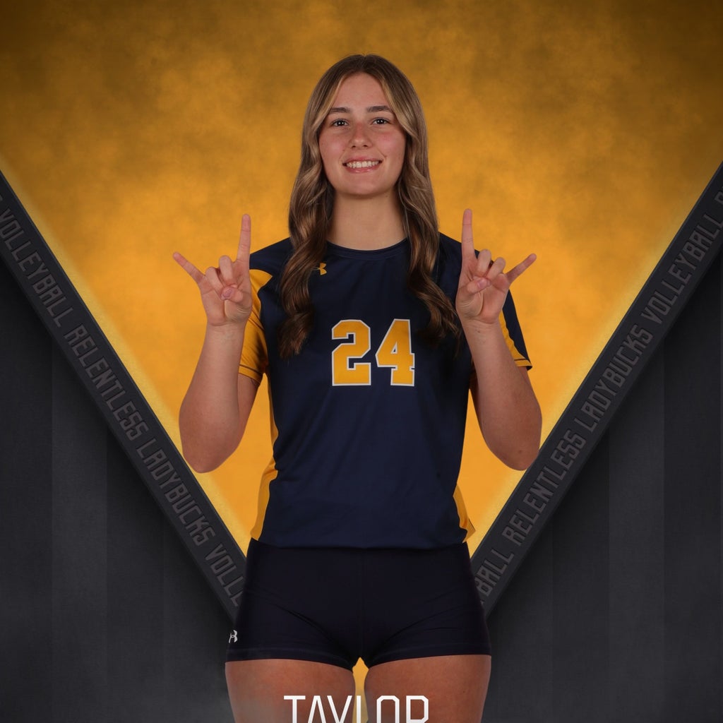 Taylor Ayers mugshot