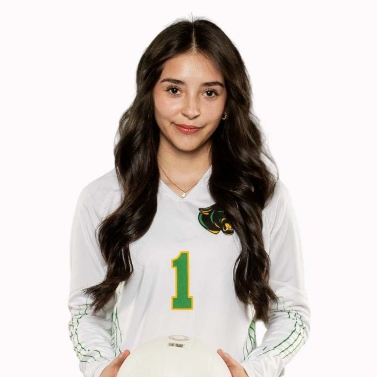 Seferina Ortiz mugshot