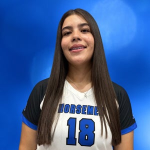 Emily Villanueva mugshot