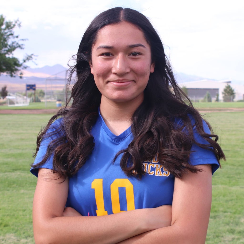 Briseidy Chavez mugshot