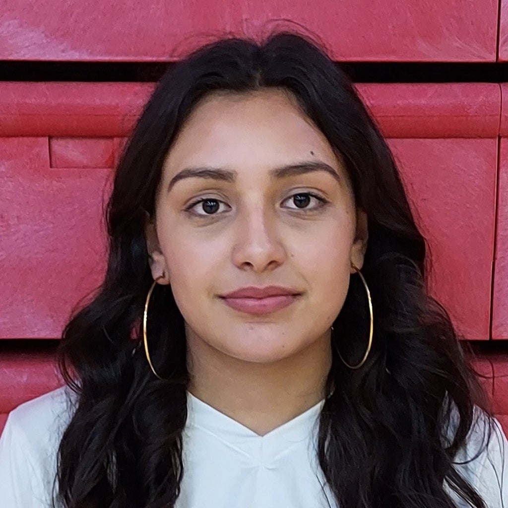 Yamilee Rico mugshot