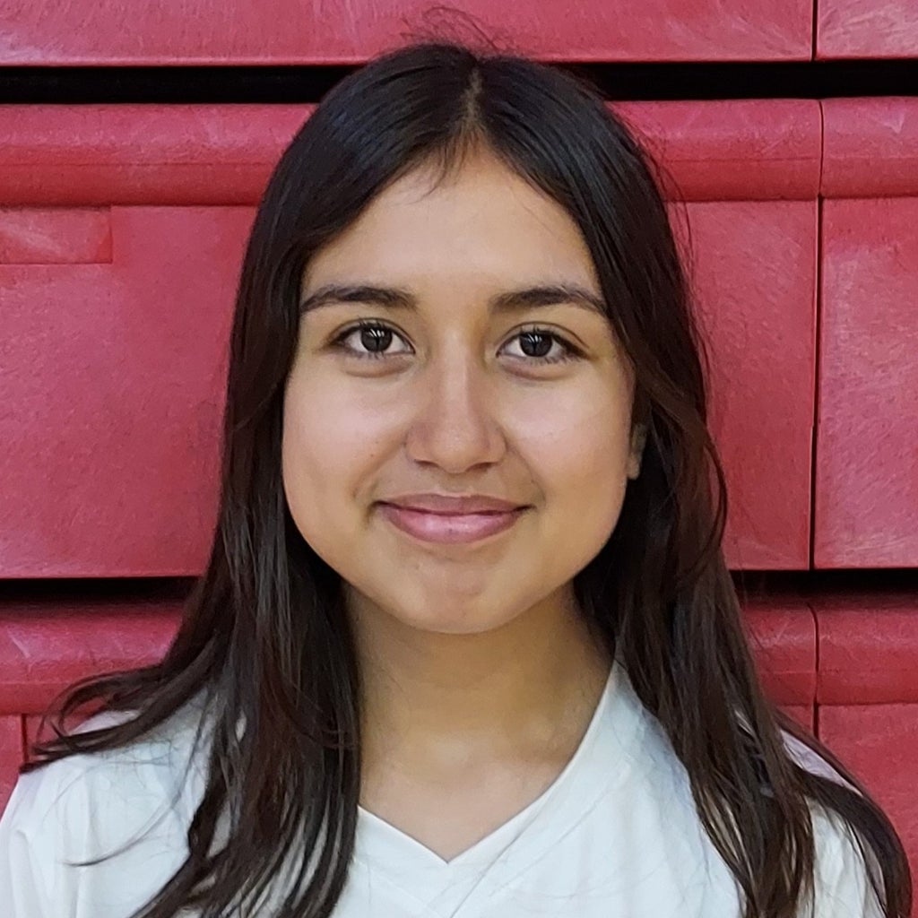 Isabel Chavez mugshot