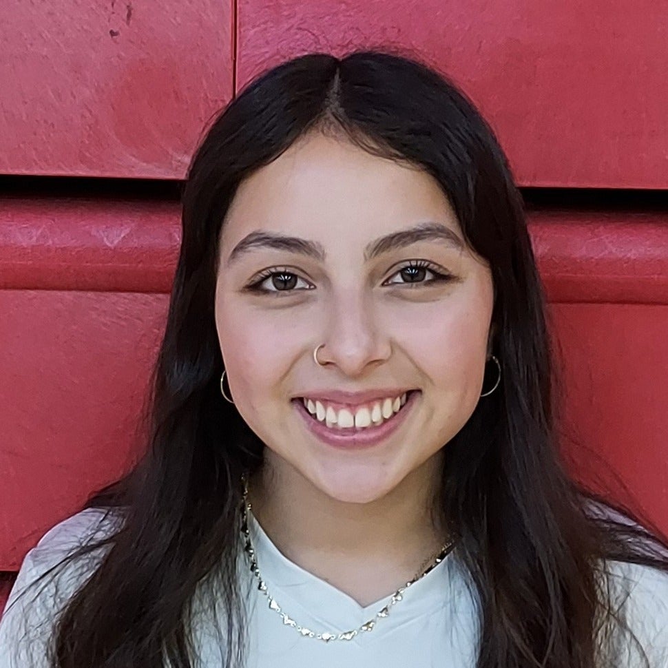 Iris Ramos mugshot