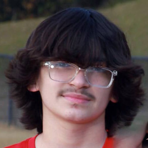 Wesley Rogel mugshot