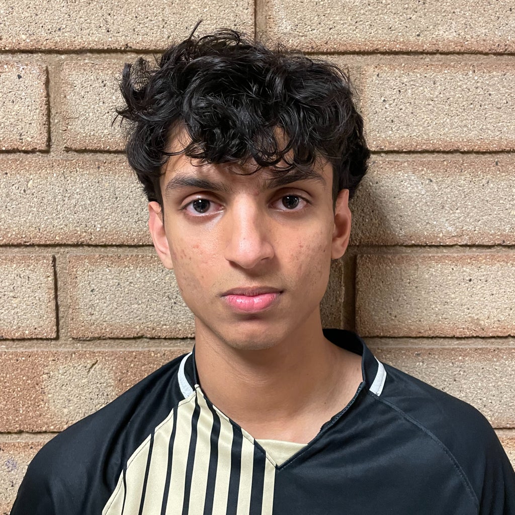 Shrinil Patel mugshot